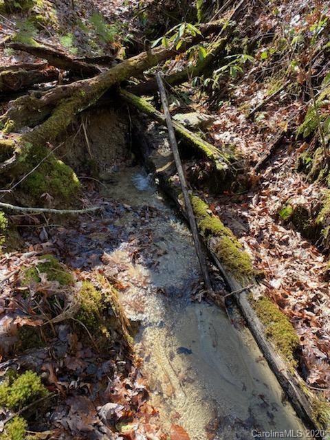 Property image 4 at Lot 163a Eagle Lake Drive, Brevard, NC 28712