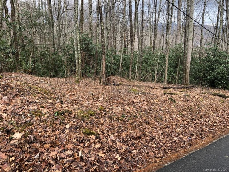 Property image 2 at 606 Timberline Drive, Maggie Valley, NC 28751