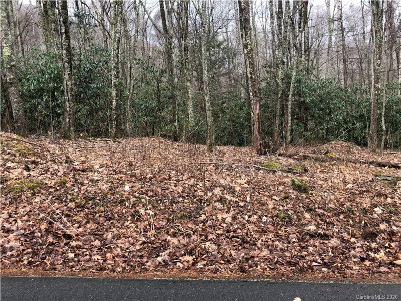 Property image 4 at 606 Timberline Drive, Maggie Valley, NC 28751