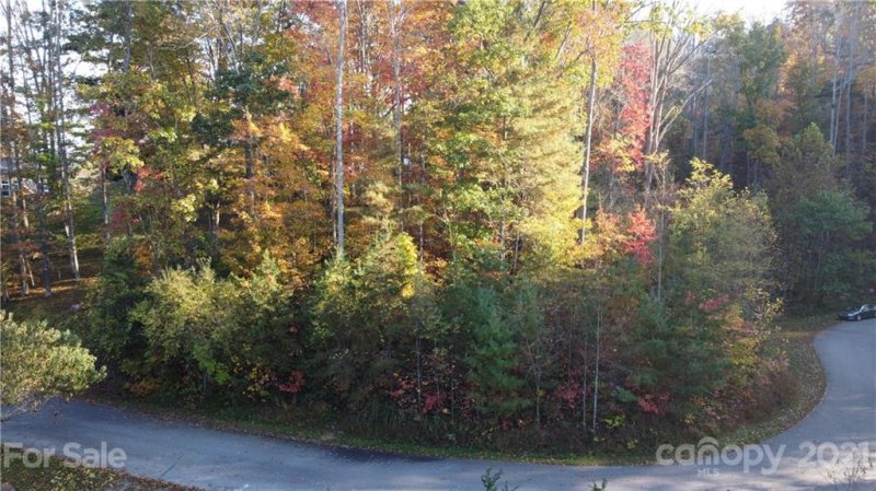 Property image 3 at 12 Forest Spring Drive, Asheville, NC 28804