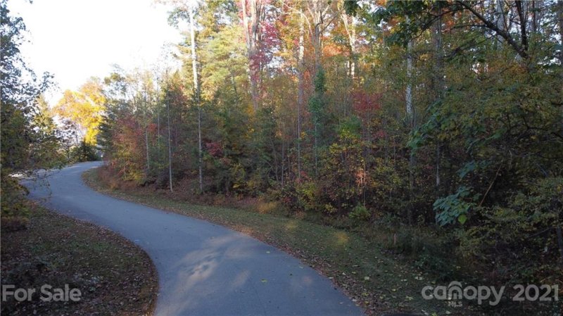 Property image 5 at 12 Forest Spring Drive, Asheville, NC 28804