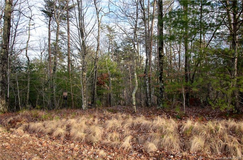 Property image 4 at V L Crestline Drive, Marion, NC 28752