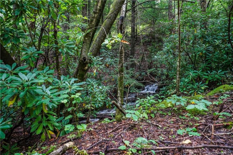 Property image 2 at 2 89 Acres Lady Slipper Trail, Swannanoa, NC 28778