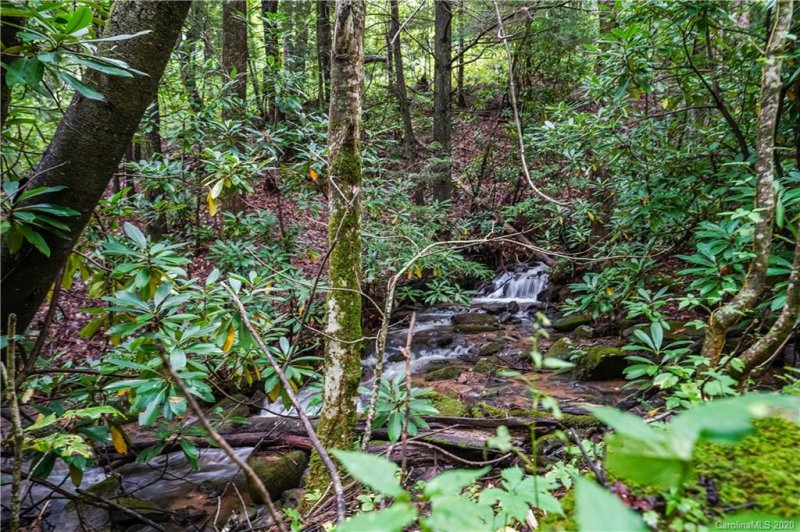 Property image 5 at 2 89 Acres Lady Slipper Trail, Swannanoa, NC 28778