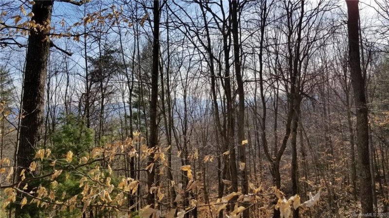 Property image 4 at 106 Bamboo Trail, Candler, NC 28715