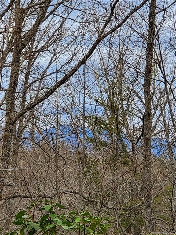 Property image 3 at 99999 Pisgah Forest Drive, Pisgah Forest, NC 28768