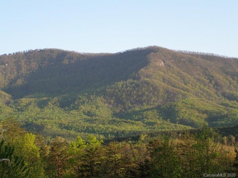 Property image 3 at 124 Winter Drive, Mill Spring, NC 28756