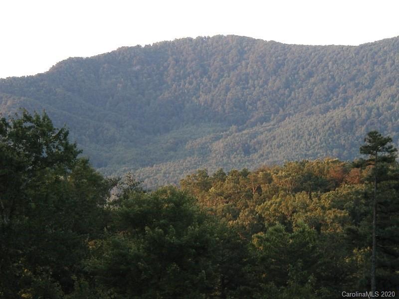 Property image 4 at 124 Winter Drive, Mill Spring, NC 28756