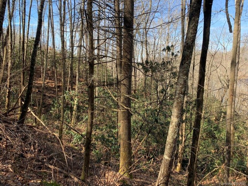 Property image 2 at Lt2 Vess Owen Road, Tuckasegee, NC 28783