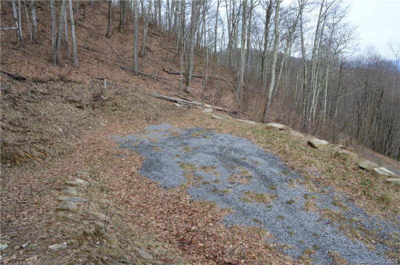 0000 Long Branch Road