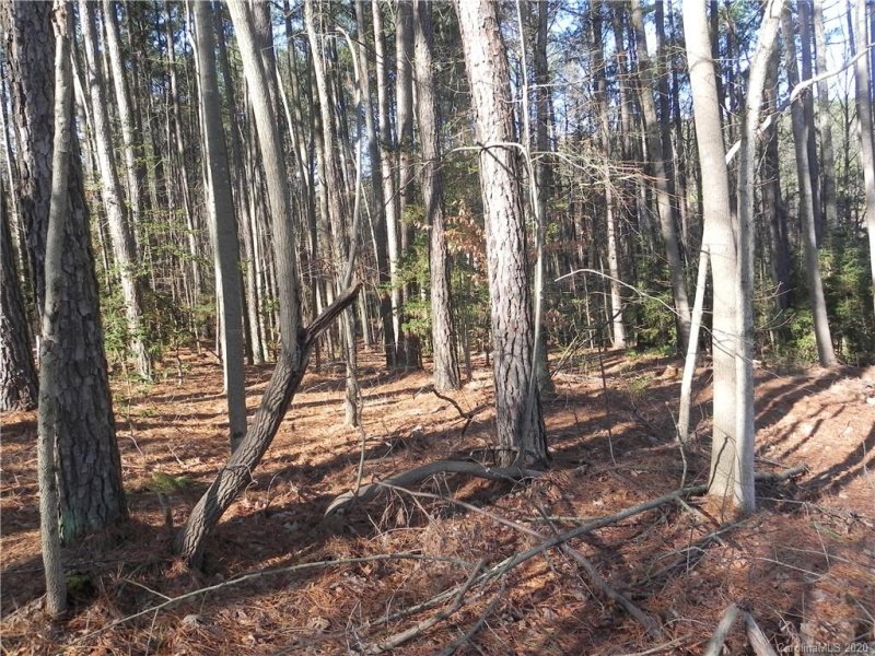 Property image 2 at 2527 Wellesbourne Lane, Sherrills Ford, NC 28673