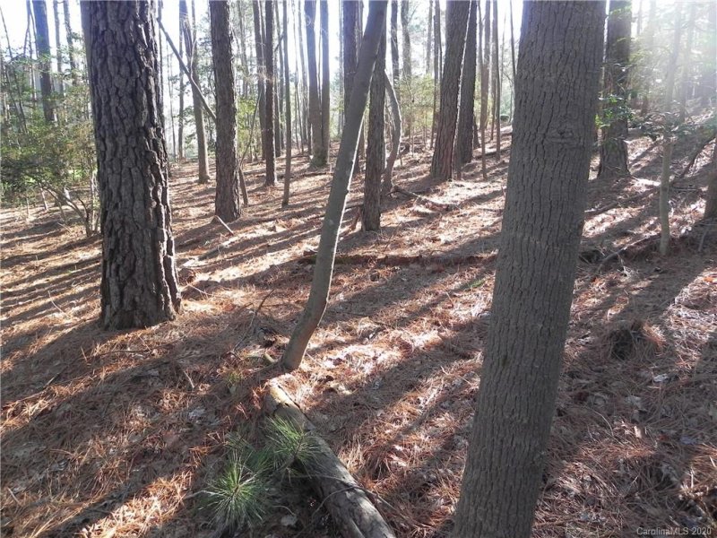 Property image 3 at 2527 Wellesbourne Lane, Sherrills Ford, NC 28673