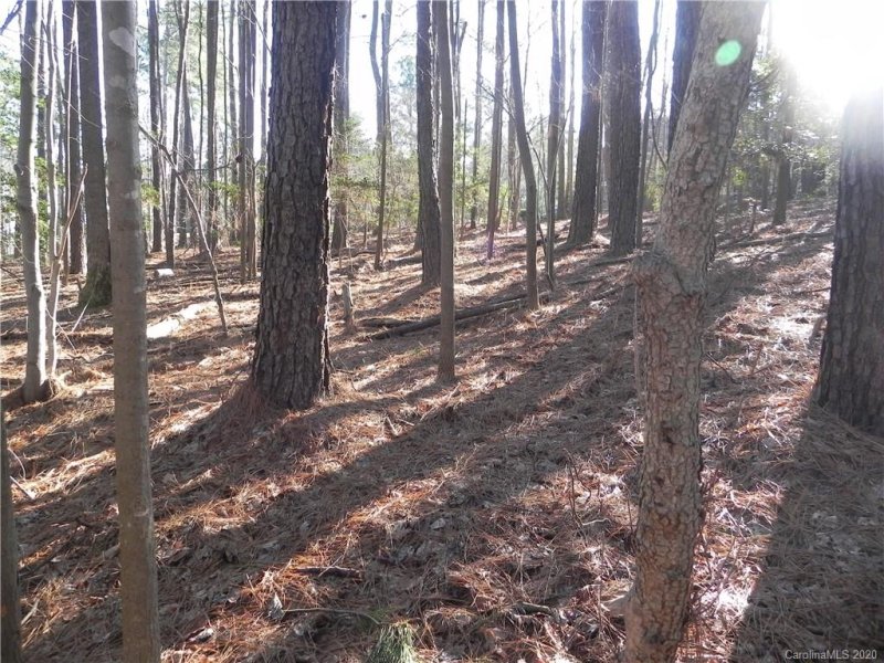 Property image 5 at 2527 Wellesbourne Lane, Sherrills Ford, NC 28673