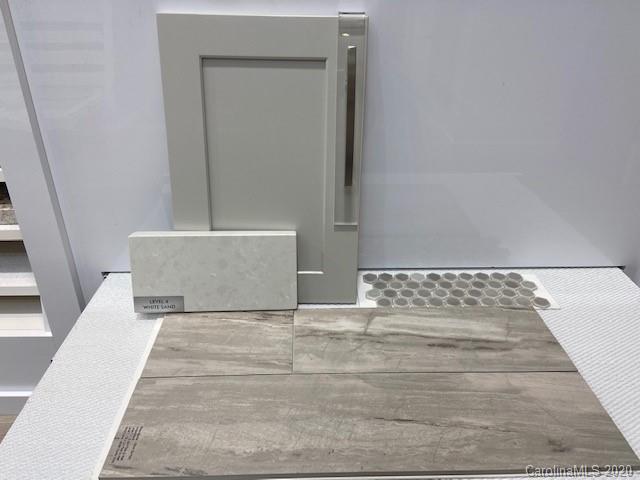 Property image 5 at 7003 Caliterra Drive, Wesley Chapel, NC 28104