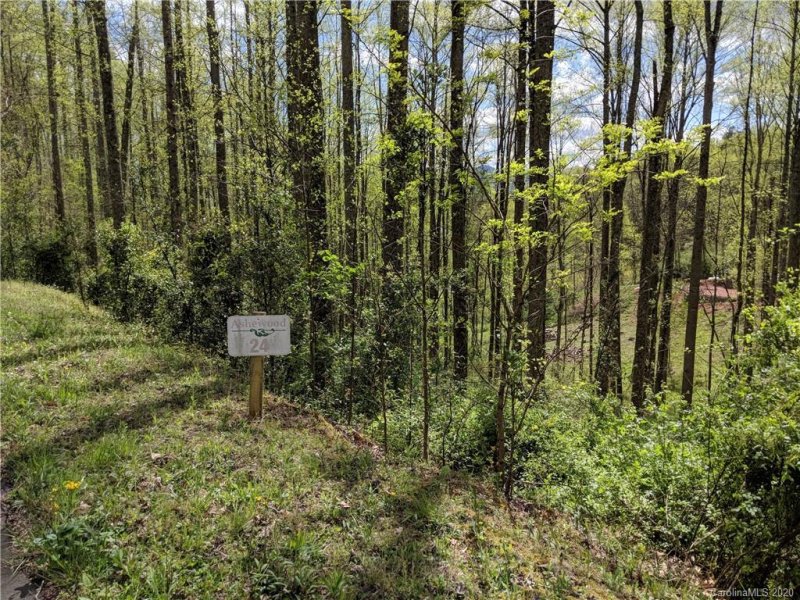 Property image 2 at 37 Ashewood Mountain Way, Candler, NC 28715