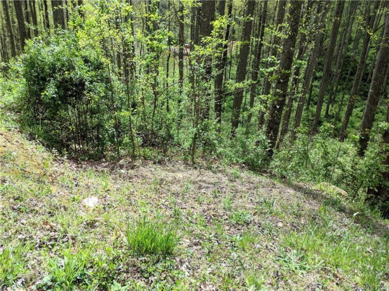 Property image 3 at 37 Ashewood Mountain Way, Candler, NC 28715