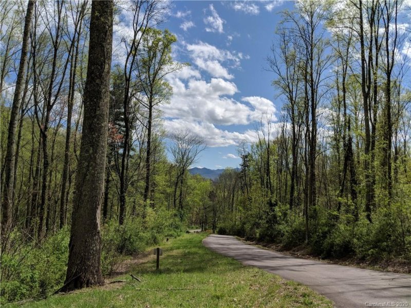 Property image 2 at 67 Bamboo Trail, Candler, NC 28715