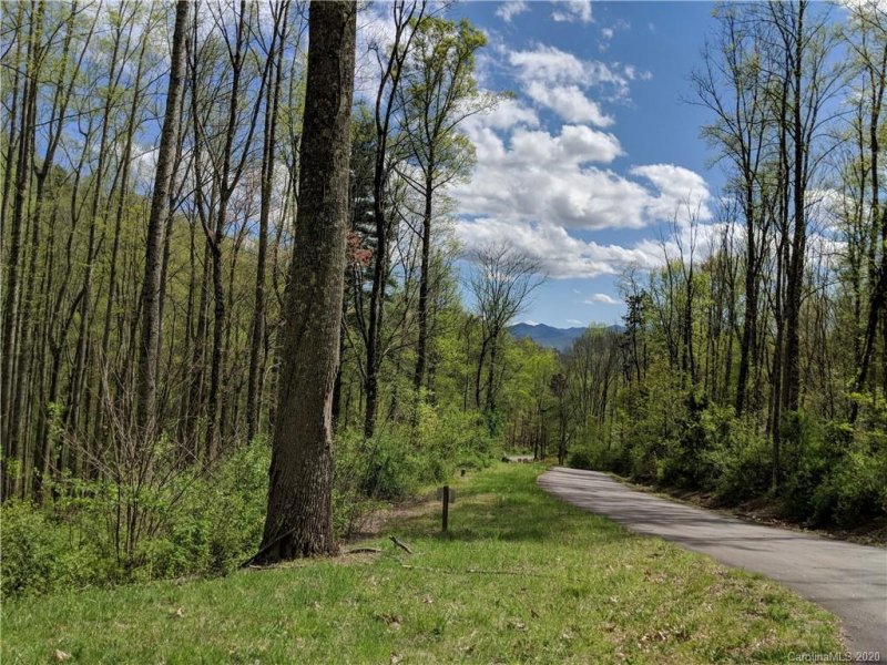 Property image 3 at 67 Bamboo Trail, Candler, NC 28715