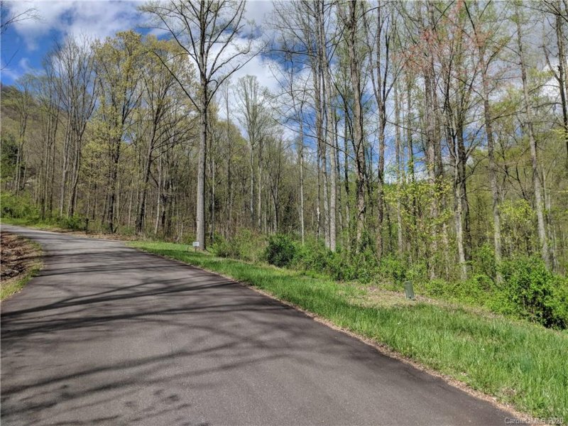 Property image 4 at 67 Bamboo Trail, Candler, NC 28715