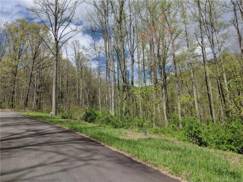 Property image 5 at 67 Bamboo Trail, Candler, NC 28715