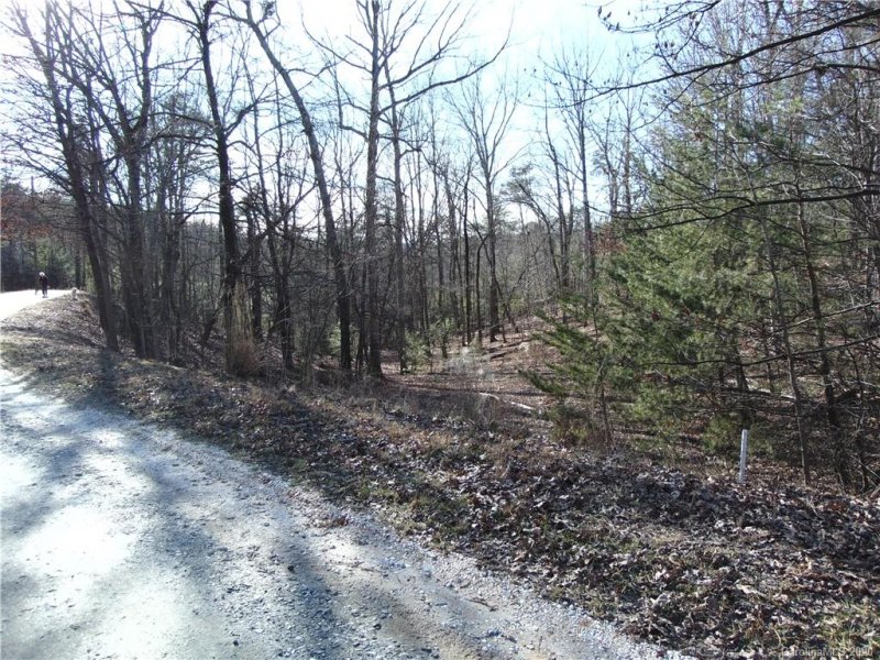 Property image 2 at 46 Piney Gate Road, Saluda, NC 28773