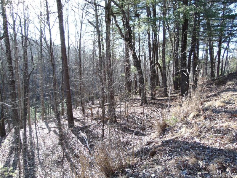 Property image 3 at 46 Piney Gate Road, Saluda, NC 28773