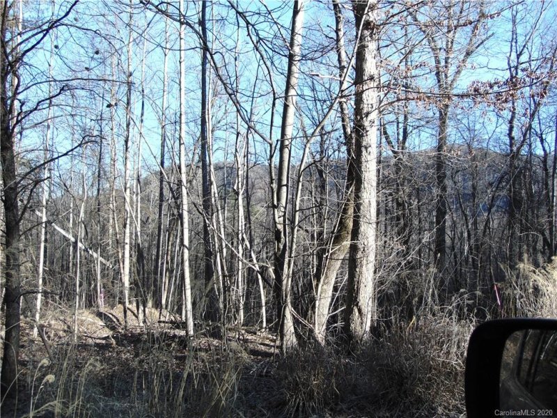 Property image 4 at 46 Piney Gate Road, Saluda, NC 28773