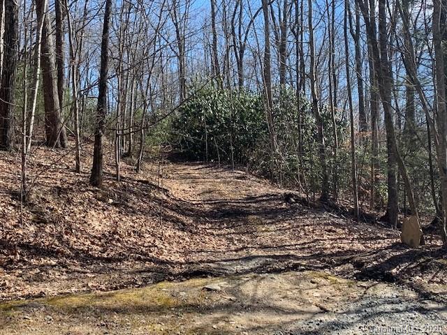 Property image 3 at 0000 Clovercrest Drive, Hendersonville, NC 28792