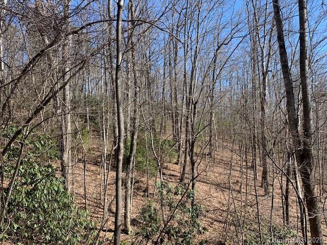 Property image 4 at 0000 Clovercrest Drive, Hendersonville, NC 28792