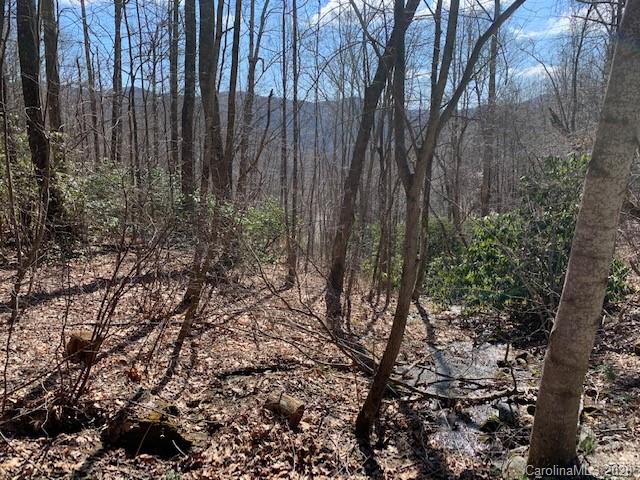 Property image 5 at 0000 Clovercrest Drive, Hendersonville, NC 28792