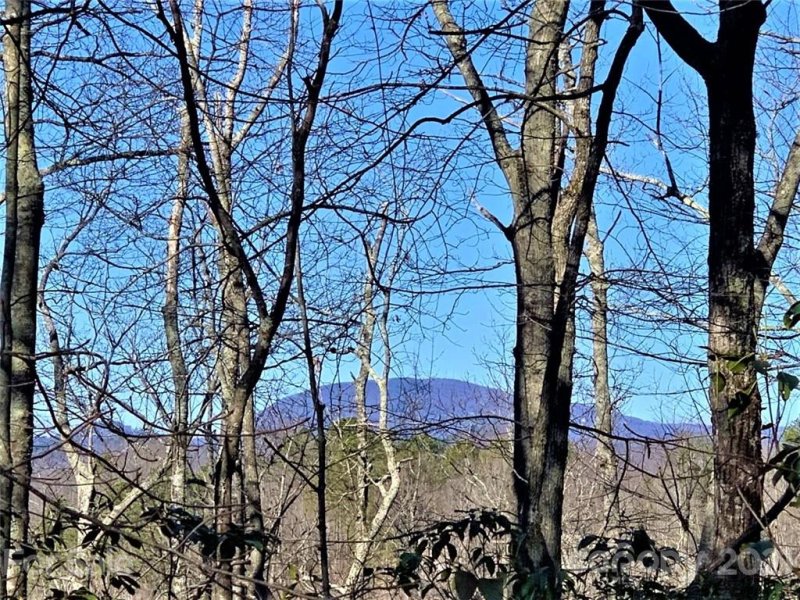 Property image 2 at Tbd Fox Lane, Brevard, NC 28712