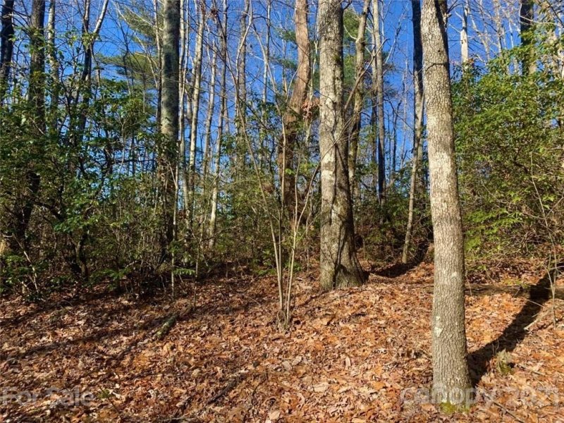 Property image 3 at Tbd Fox Lane, Brevard, NC 28712