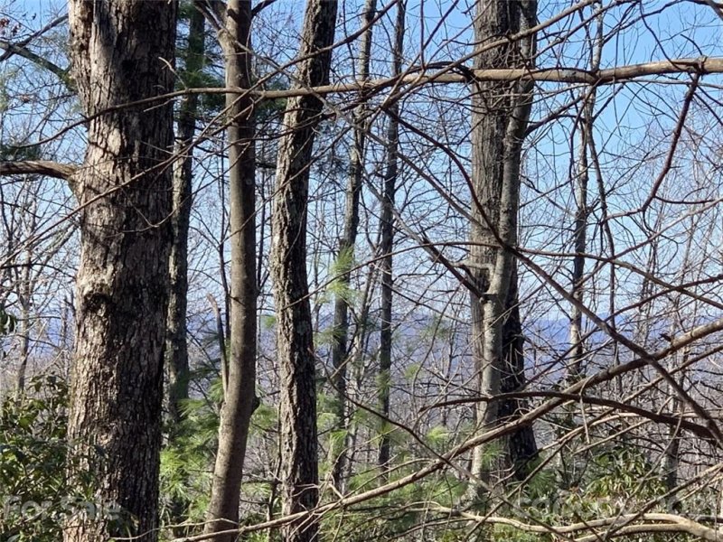 Property image 5 at Tbd Fox Lane, Brevard, NC 28712