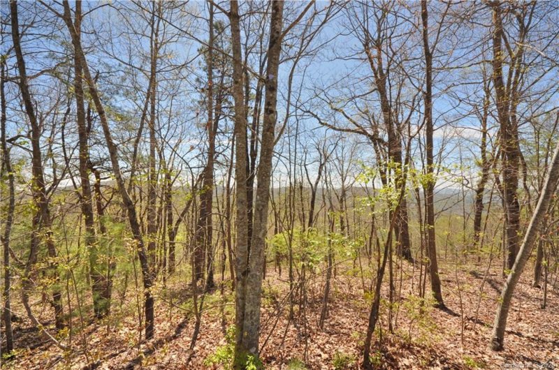 Property image 2 at 888 Previously 918 Overlook Park Drive, Hendersonville, NC 28792