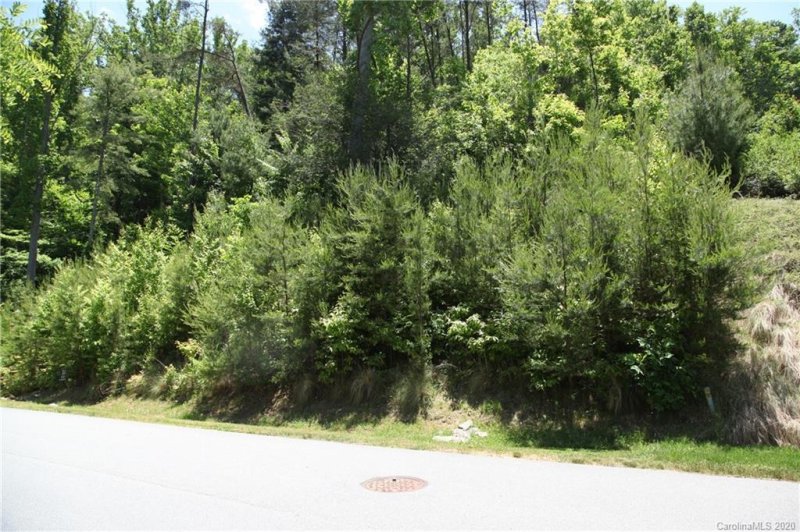 Property image 4 at 94 Village Pointe Lane, Asheville, NC 28803