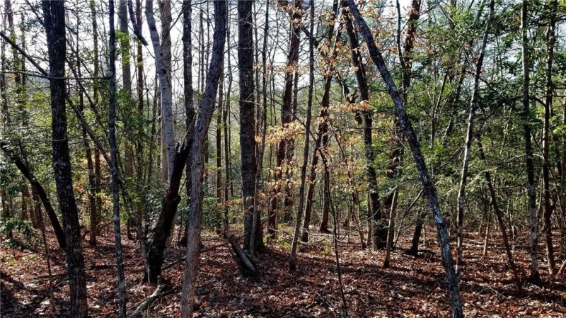 Property image 3 at 00 Bent Creek Lane, Nebo, NC 28752