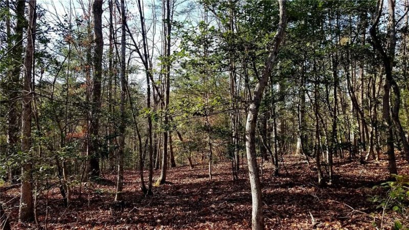 Property image 5 at 00 Bent Creek Lane, Nebo, NC 28752