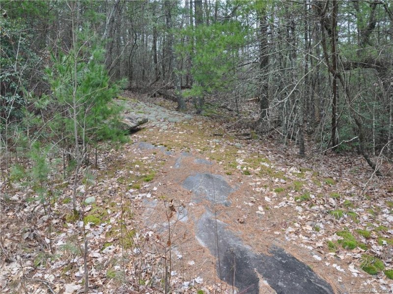 Property image 2 at 700 River Ridges Road, Zirconia, NC 28790