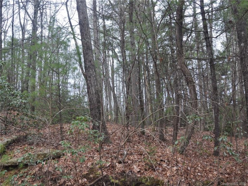 Property image 4 at 700 River Ridges Road, Zirconia, NC 28790