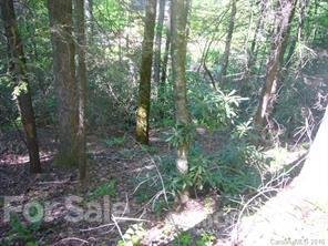 Property image 2 at 772 Rich Mountain Road, Flat Rock, NC 28731