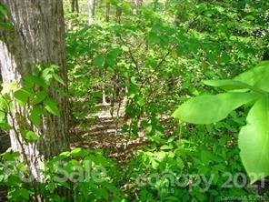 Property image 4 at 772 Rich Mountain Road, Flat Rock, NC 28731