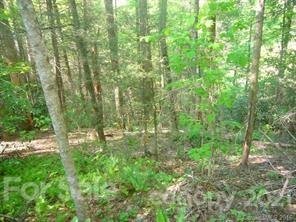 Property image 5 at 772 Rich Mountain Road, Flat Rock, NC 28731