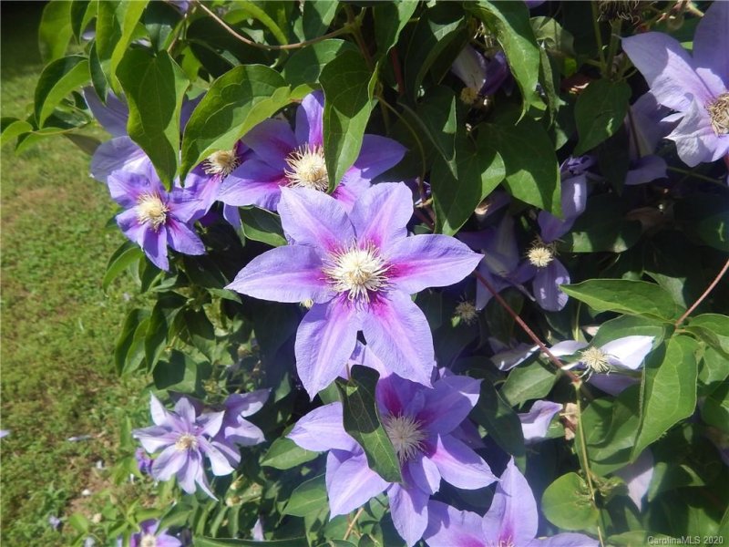 Property image 4 at 115 Henrys Glen Drive, Morganton, NC 28655