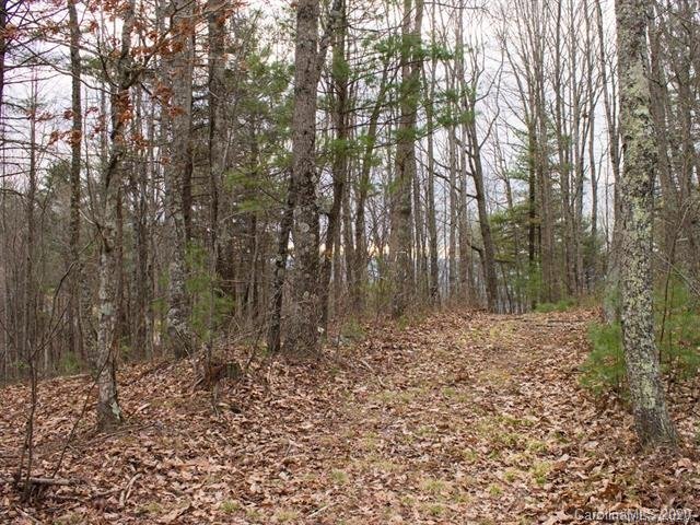 Property image 3 at 7 Bent Branch Lane, Asheville, NC 28804