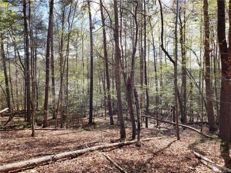 Property image 2 at 315 Settlement Ridge Drive, Marion, NC 28752