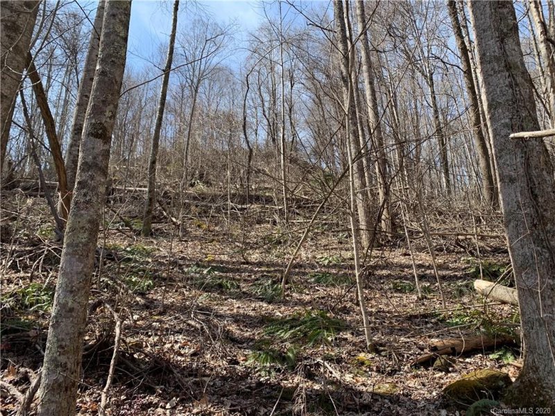 Property image 2 at 00000 Friar Tuck Lane, Maggie Valley, NC 28751