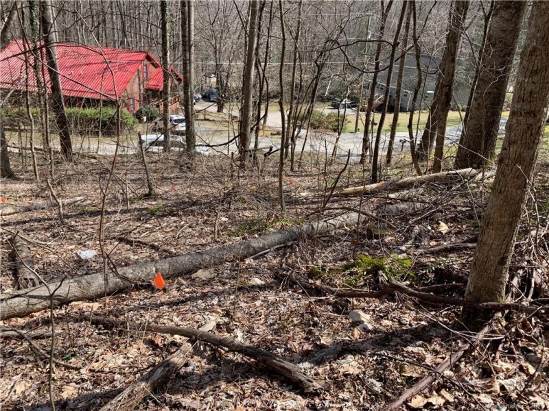 Property image 3 at 00000 Friar Tuck Lane, Maggie Valley, NC 28751