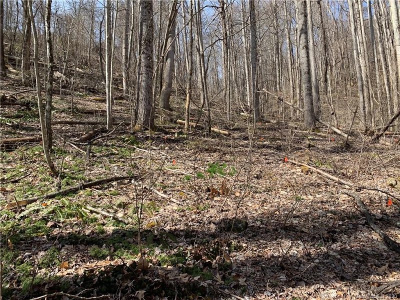 Property image 4 at 00000 Friar Tuck Lane, Maggie Valley, NC 28751