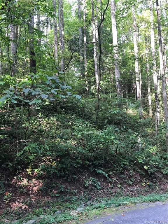 Property image 2 at 0000 Spring Road, Hendersonville, NC 28792