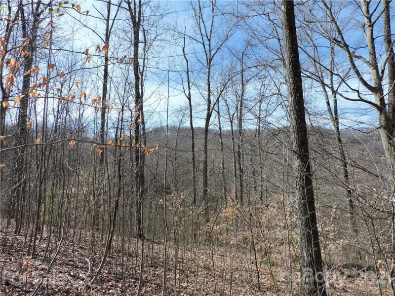 Property image 2 at 0 Sleepy Oak Lane, Spruce Pine, NC 28777